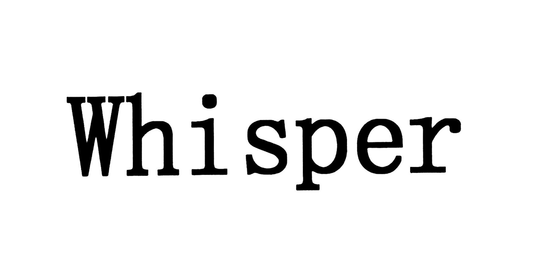 whisper.cpp 关键词纠错